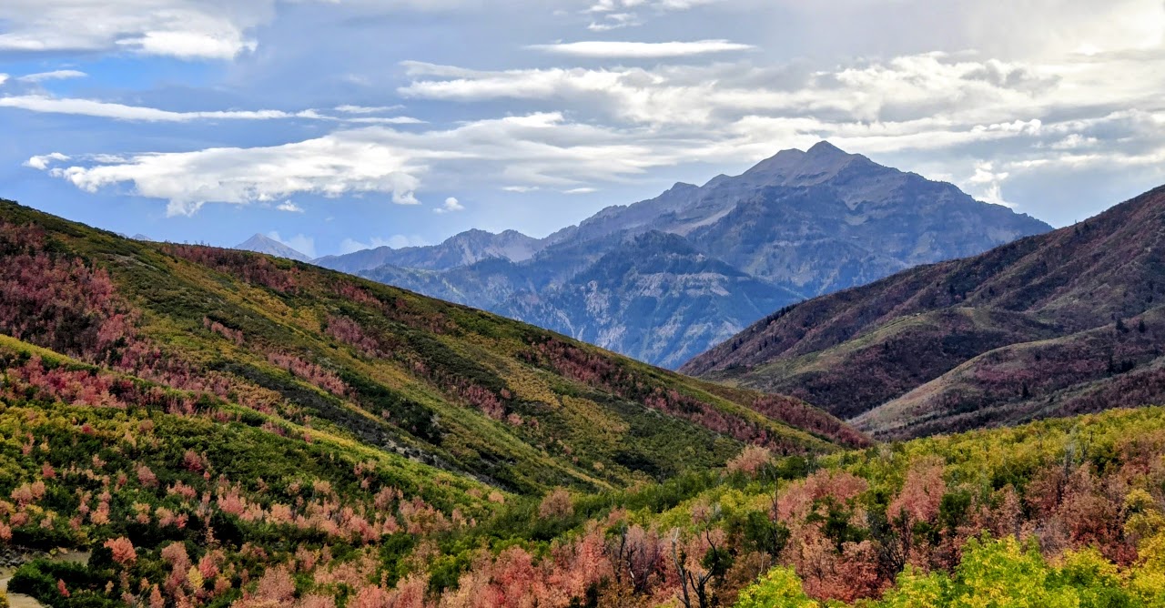 Fall foliage across mountain slopes beneath a distant peak