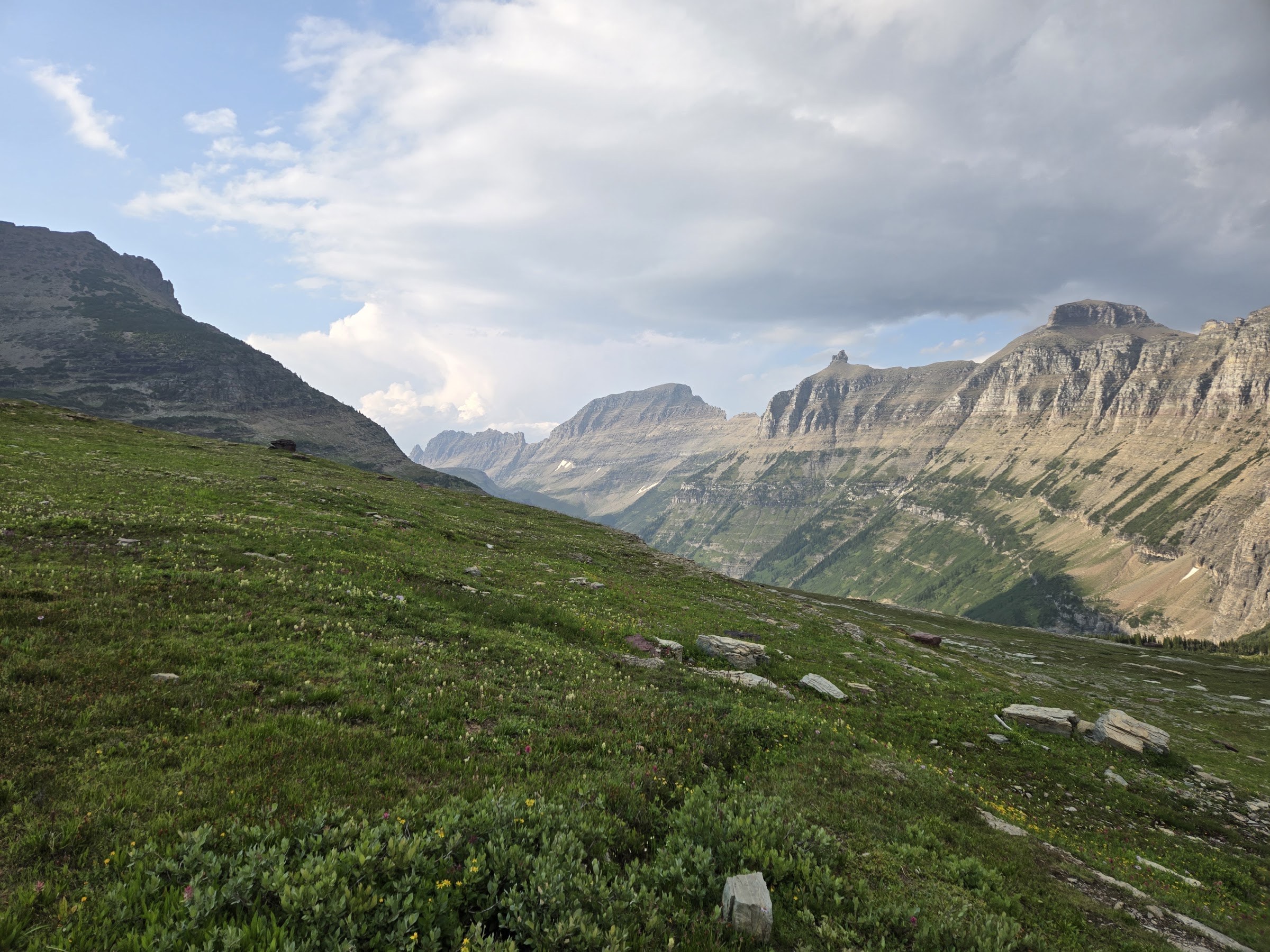 Green alpine slopes and layered mountain ridges in Glacier National Park